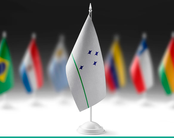 Webinar apresenta principais atualizações do regime de origem do Mercosul e seus impactos na emissão do certificado de origem 